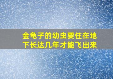 金龟子的幼虫要住在地下长达几年才能飞出来