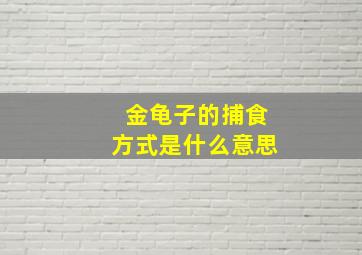 金龟子的捕食方式是什么意思