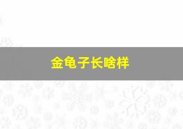 金龟子长啥样