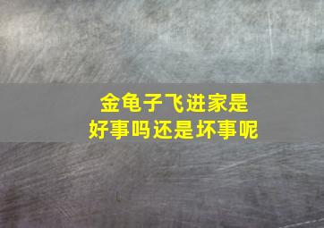 金龟子飞进家是好事吗还是坏事呢