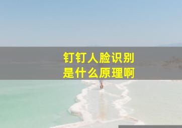 钉钉人脸识别是什么原理啊