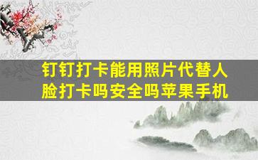 钉钉打卡能用照片代替人脸打卡吗安全吗苹果手机