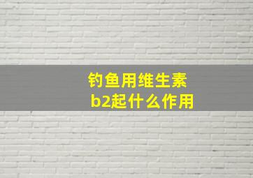 钓鱼用维生素b2起什么作用