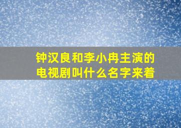 钟汉良和李小冉主演的电视剧叫什么名字来着