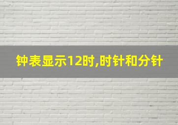 钟表显示12时,时针和分针