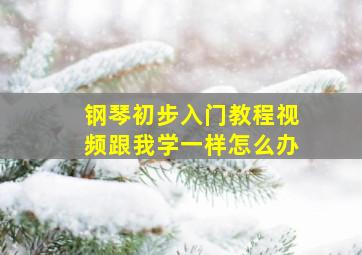 钢琴初步入门教程视频跟我学一样怎么办