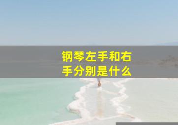 钢琴左手和右手分别是什么