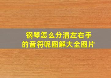 钢琴怎么分清左右手的音符呢图解大全图片