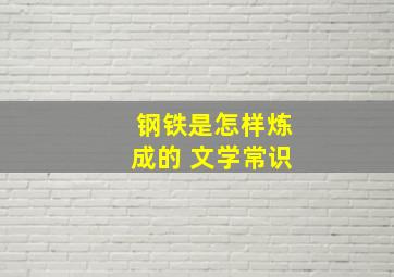 钢铁是怎样炼成的 文学常识