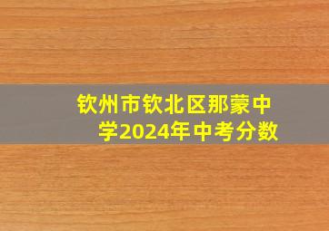 钦州市钦北区那蒙中学2024年中考分数