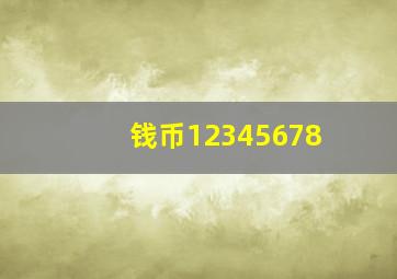 钱币12345678