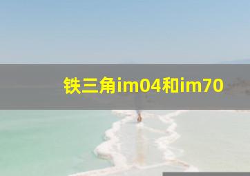 铁三角im04和im70