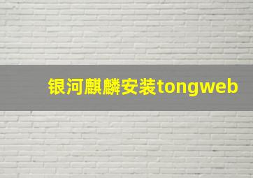 银河麒麟安装tongweb