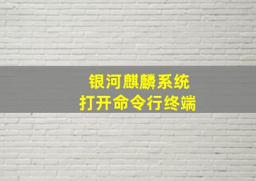 银河麒麟系统打开命令行终端