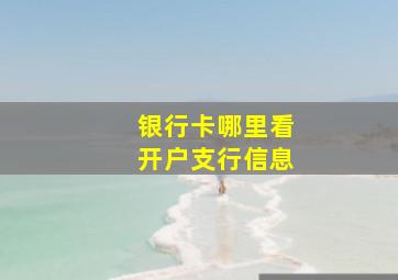 银行卡哪里看开户支行信息