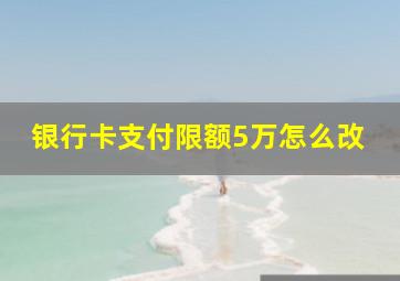 银行卡支付限额5万怎么改