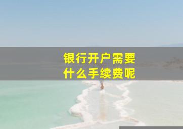 银行开户需要什么手续费呢