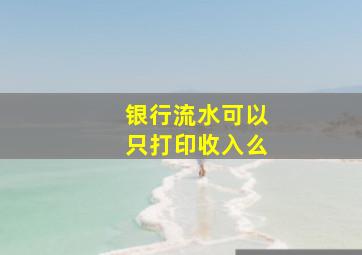 银行流水可以只打印收入么