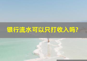 银行流水可以只打收入吗?