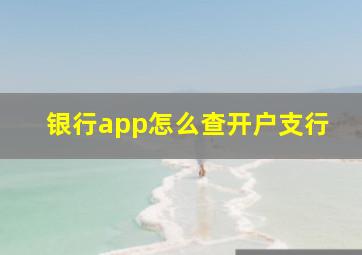 银行app怎么查开户支行