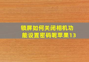 锁屏如何关闭相机功能设置密码呢苹果13