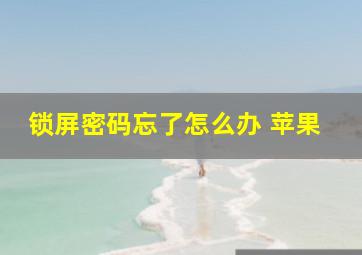 锁屏密码忘了怎么办 苹果