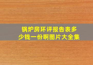 锅炉房环评报告表多少钱一份啊图片大全集