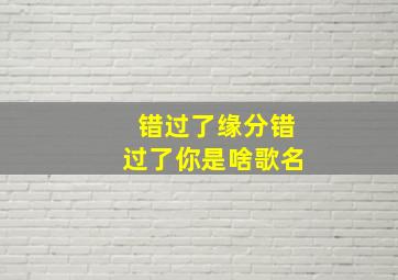 错过了缘分错过了你是啥歌名