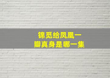 锦觅给凤凰一瓣真身是哪一集