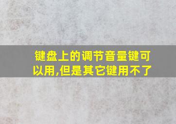 键盘上的调节音量键可以用,但是其它键用不了