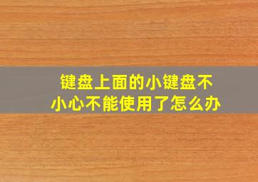 键盘上面的小键盘不小心不能使用了怎么办