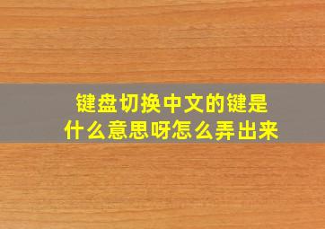 键盘切换中文的键是什么意思呀怎么弄出来