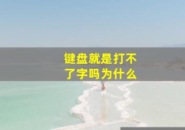 键盘就是打不了字吗为什么