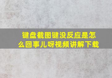 键盘截图键没反应是怎么回事儿呀视频讲解下载