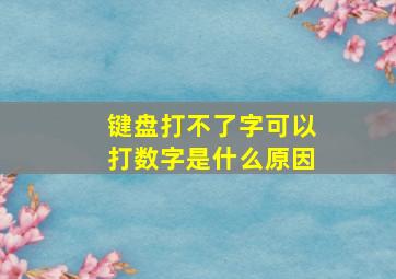 键盘打不了字可以打数字是什么原因