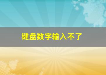 键盘数字输入不了