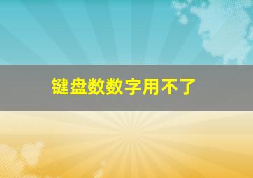 键盘数数字用不了