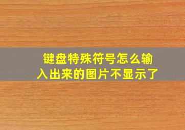 键盘特殊符号怎么输入出来的图片不显示了