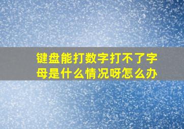 键盘能打数字打不了字母是什么情况呀怎么办