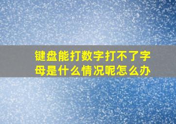 键盘能打数字打不了字母是什么情况呢怎么办