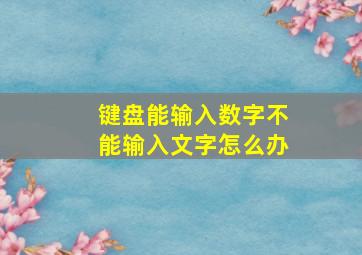 键盘能输入数字不能输入文字怎么办