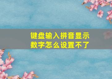 键盘输入拼音显示数字怎么设置不了