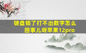 键盘锁了打不出数字怎么回事儿呀苹果12pro