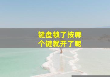 键盘锁了按哪个键就开了呢