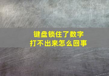 键盘锁住了数字打不出来怎么回事