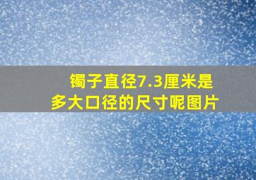 镯子直径7.3厘米是多大口径的尺寸呢图片