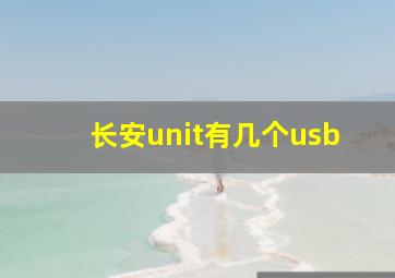 长安unit有几个usb