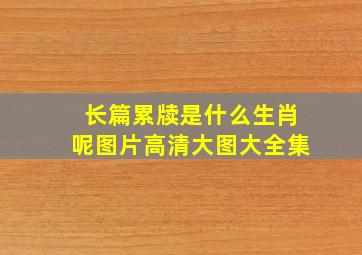 长篇累牍是什么生肖呢图片高清大图大全集