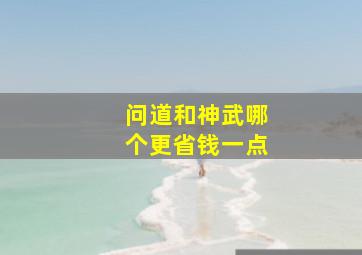 问道和神武哪个更省钱一点