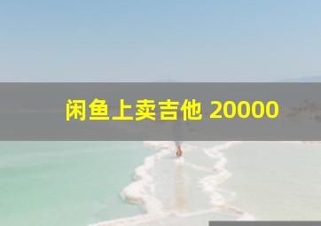 闲鱼上卖吉他 20000